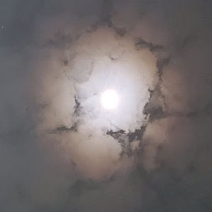 Meet your Posher, Lyvi